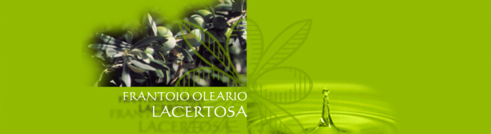 1171x320_olio
